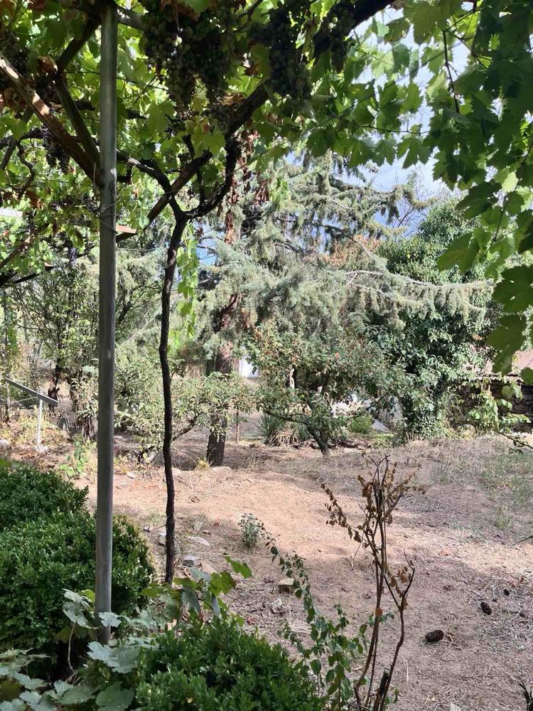 Продавам къща в с.Сърнегор, Пловдивско