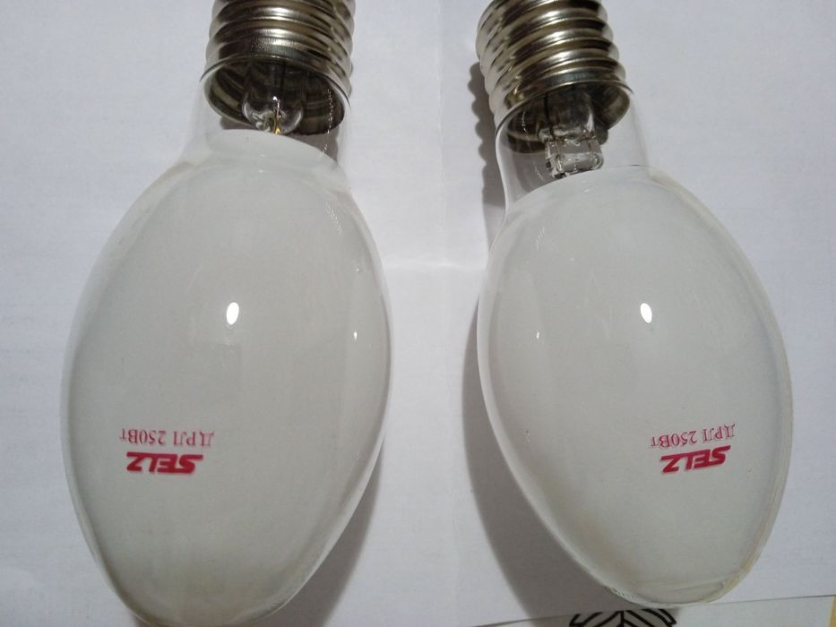 Продам лампочки большие по  2000