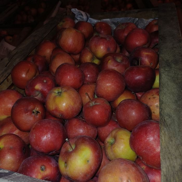 Продам яблоки 2 сорт.