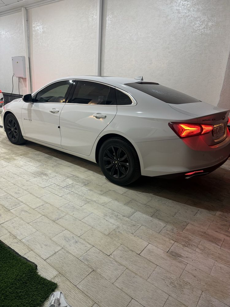 Своя Malibu premier 2020