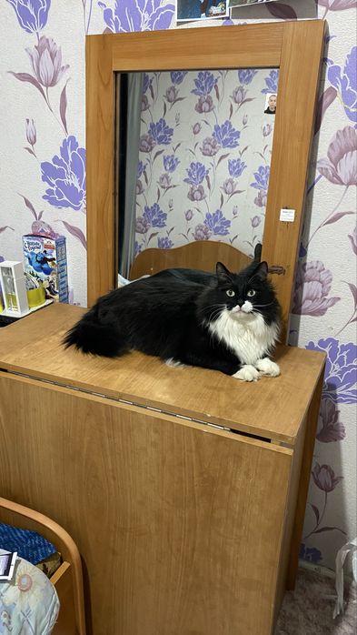 Стол раскладной и зеркало