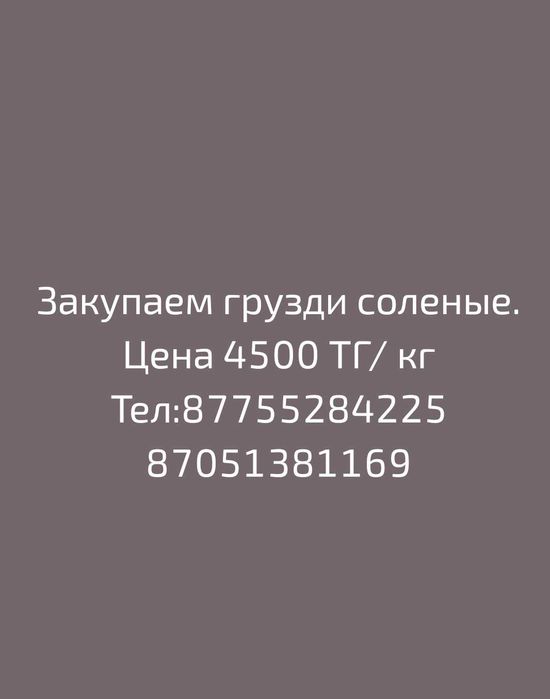 Грузди соленые, хорошего качества