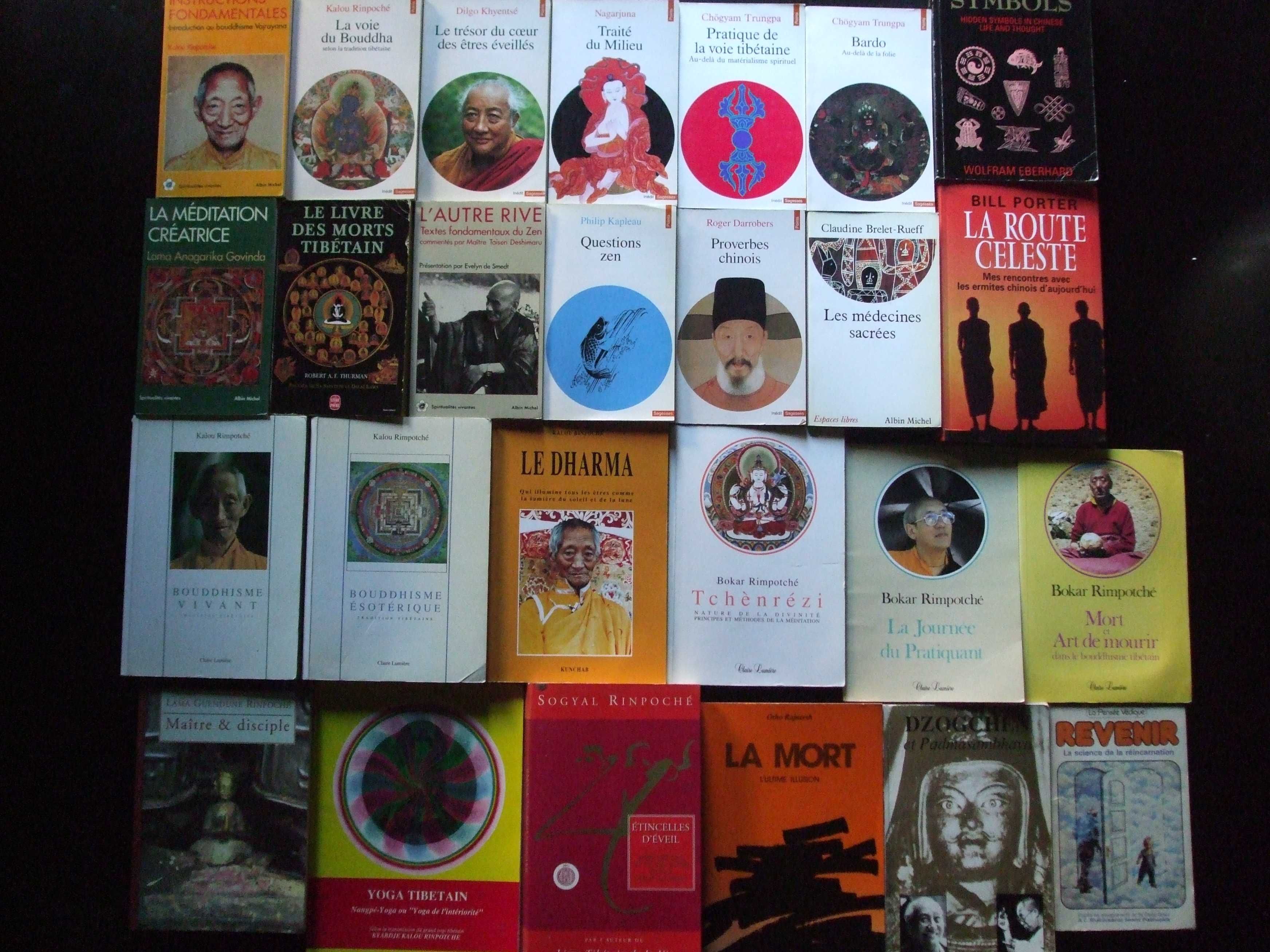colecţie cărți budhism_tibetan, indian, zen, dao_în limba franceza