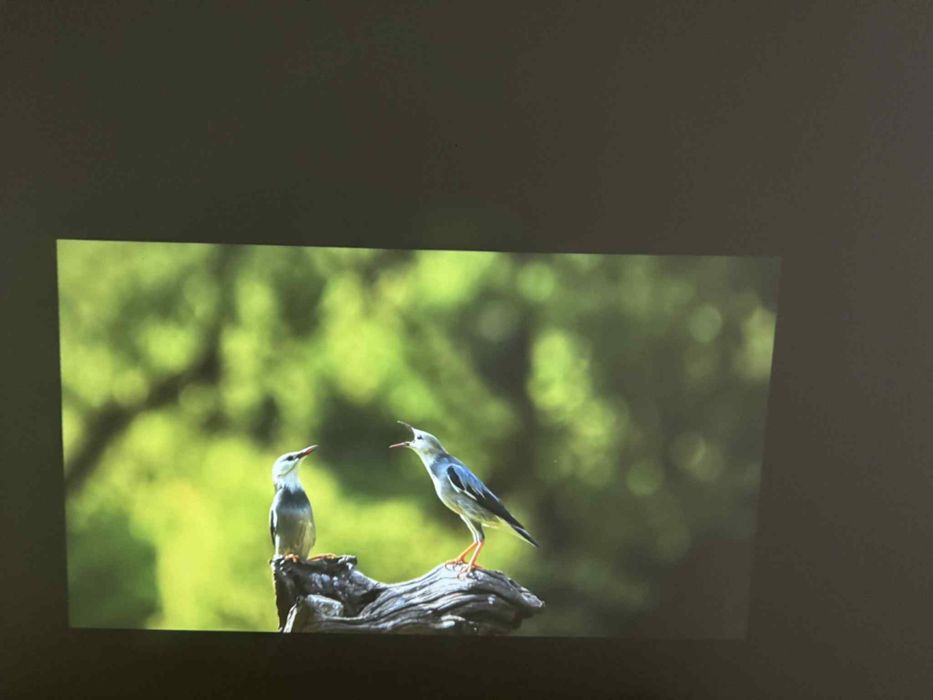 Proiector portabil HY320, SMART, 4K, android, negru, nou, la cutie!