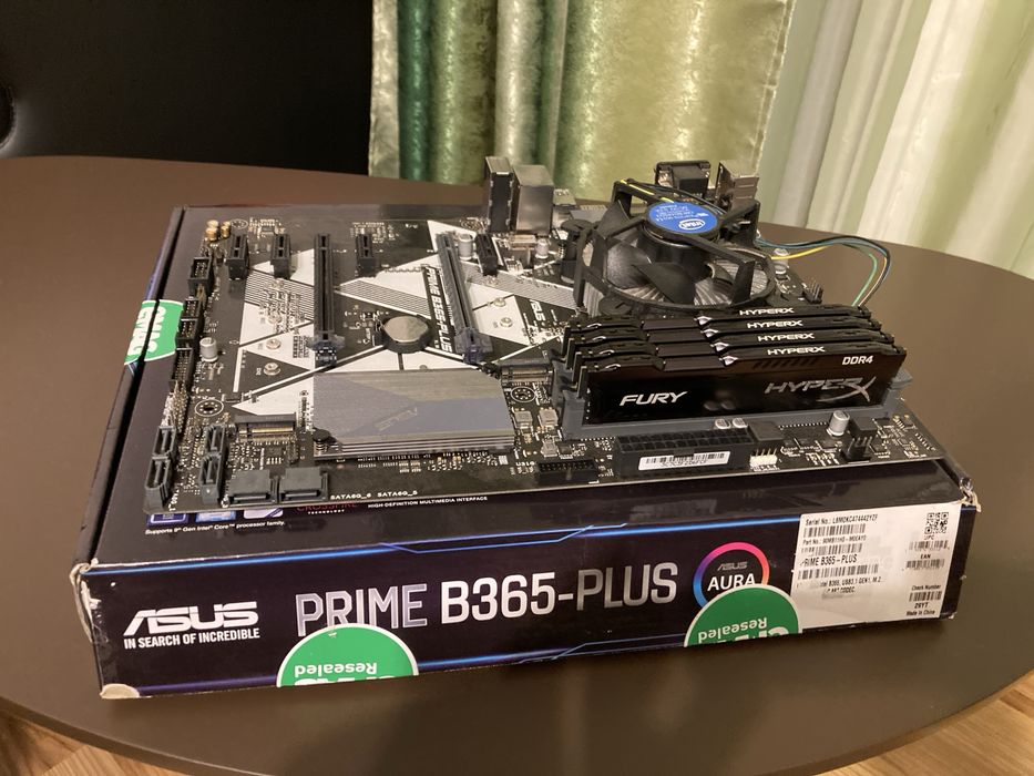 Kit Placa de baza Asus + Procesor Intel + 16 GB RAM Kingston