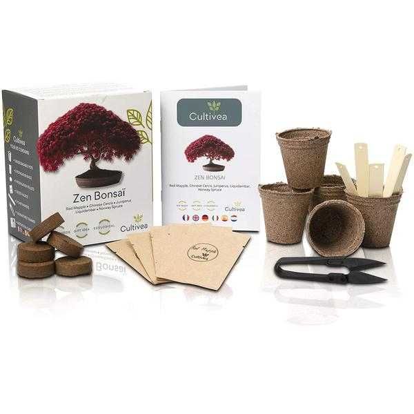 Kit de crestere plante Zen Bonsai