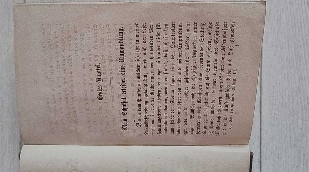 Der Sohn des Gärtners: roman von Philipp Galen, vol. 3, 4