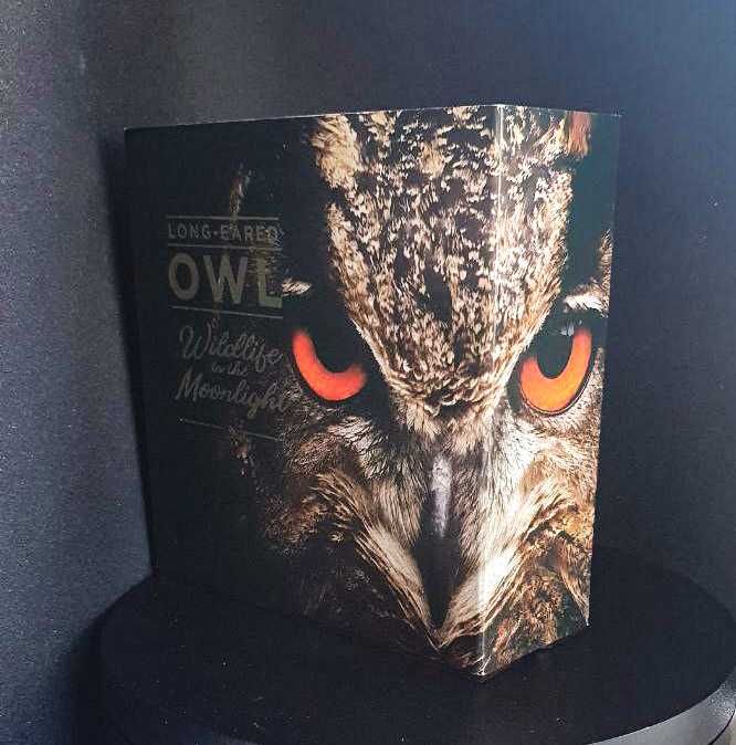 НИУЭ: монета Серебро 2 унции 5 долларов 2019 года филин Антикфиниш PRF