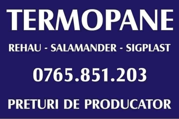 Ferestre termopan Berca usa termopan Berca