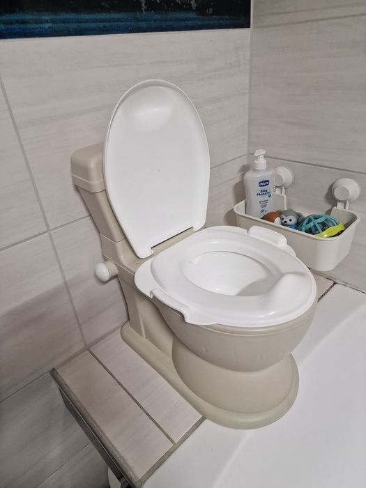 Olita educațională tip wc