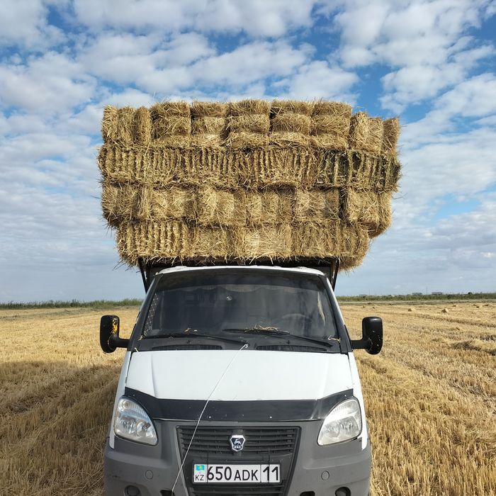 Сабан прес бар 300тг жеткизип беремиз