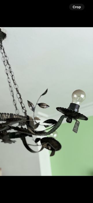 Полилей ковано желязо