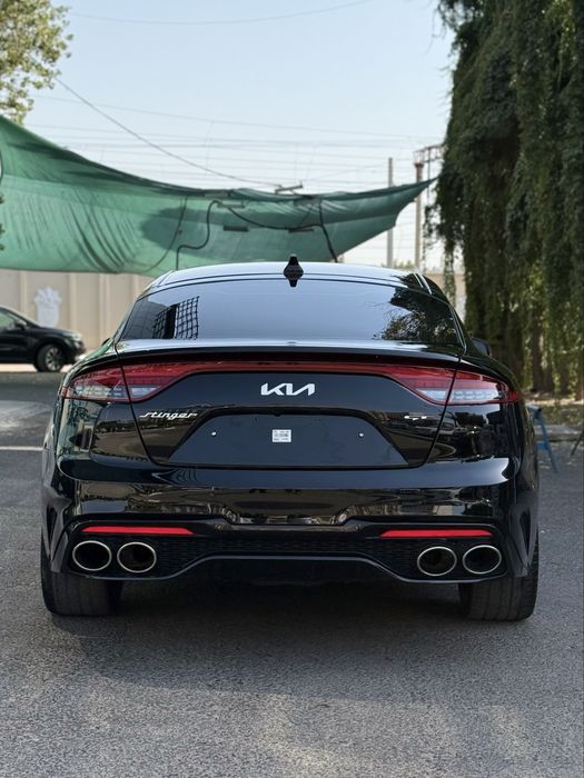 Stinger GT Steg klingan krasak toza