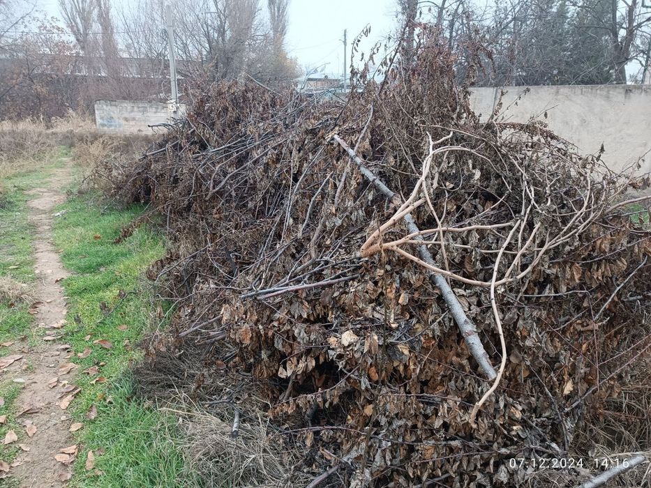 Oʻtin sotiladi. Продается дрова