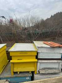 Пчелни кошери употреббявани