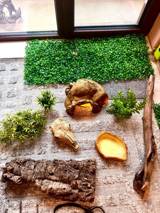 Snake Terrarium Starter Pack