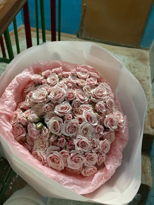 Продам цветы новые свежие