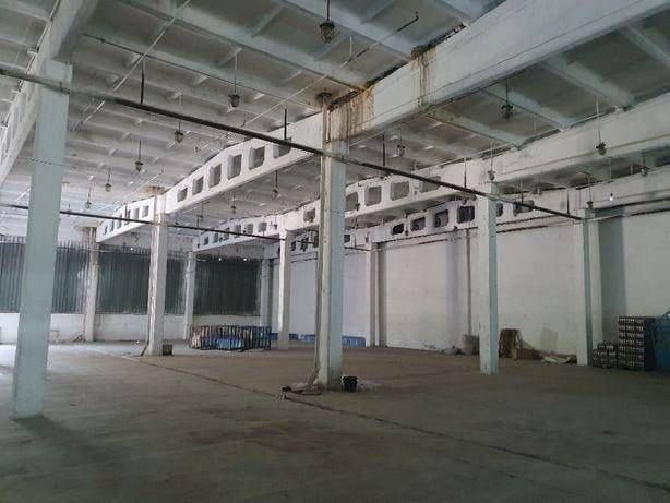 Срочно продается база 35 соток на Сергелях