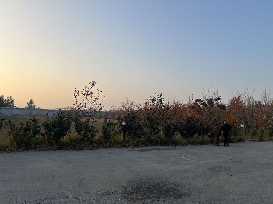 Продаётся комплекс (холодильник, склад, оборудование для сушки фруктов