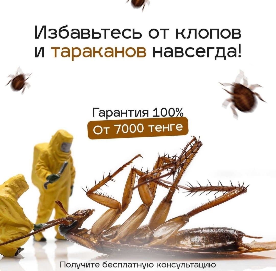 СЭС! ДЕЗИНФЕКЦИЯ! Уничтожение всех видов насекомых 100%эффект