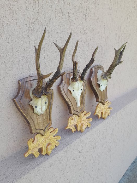 Vând panoplii sculptate manual