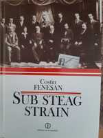Costin Fenesan - Sub steag strain (noua)