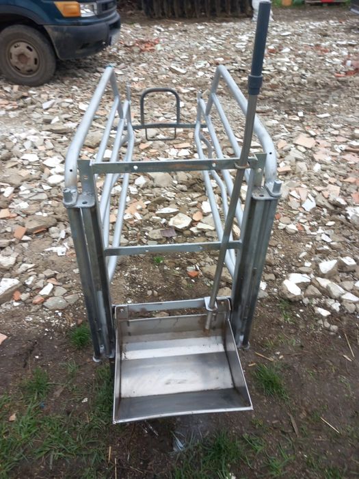 Boxe fătare scroafe