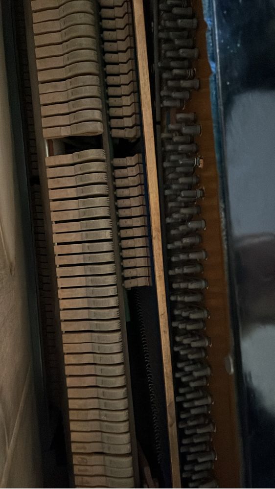 Pianina placa de bronz