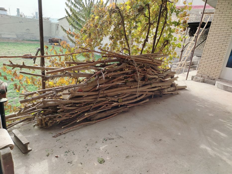 Утин сотилади. Кесилган тайори хам бор