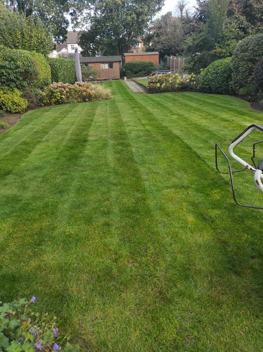 Почистване и подръжка на градини