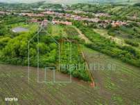 Livada cu pruni de vanzare, teren cabana in Rahau, Sebes, Alba
