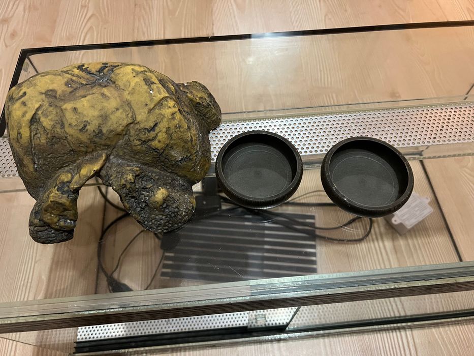 Терариум 60х30х30 с нагревател къщичка и 2 купички