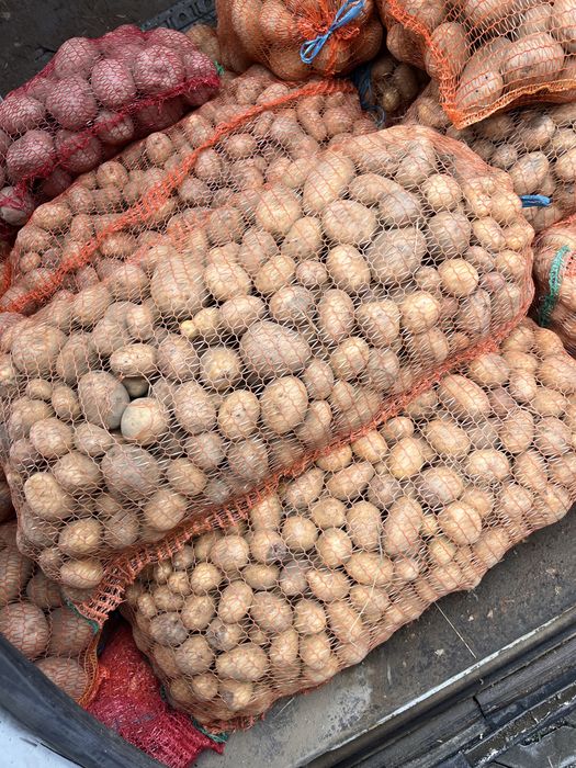 Vand cartofi de animale