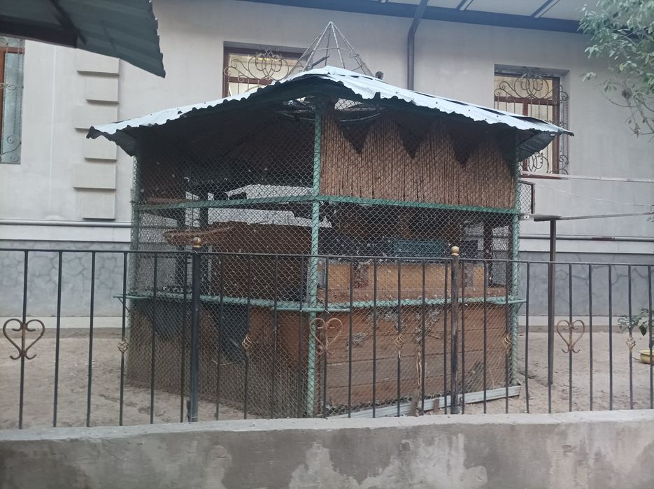 Metal Qush xona. 3x3