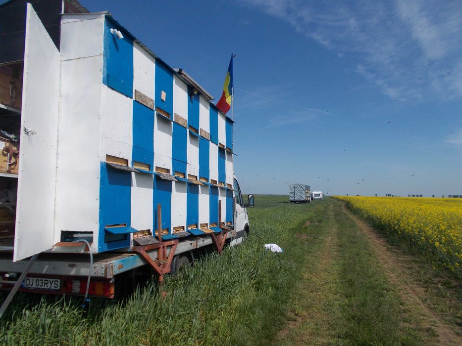 Pavilion apicol cu autoutilitara IVECO 3,5 t, 2005