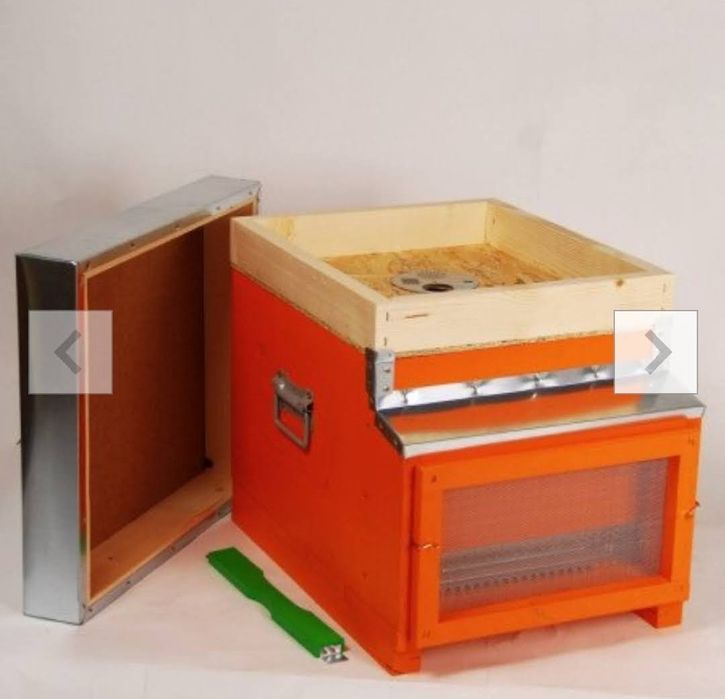 Lazi stupi, cu magazie cladita, colector și hrănitor