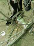 Roti 26 inci bune