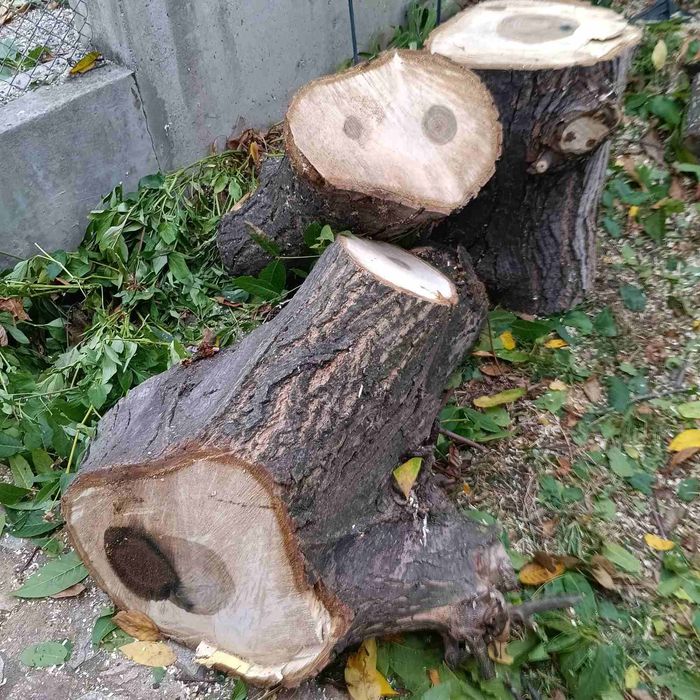 Продавам орехови дънери