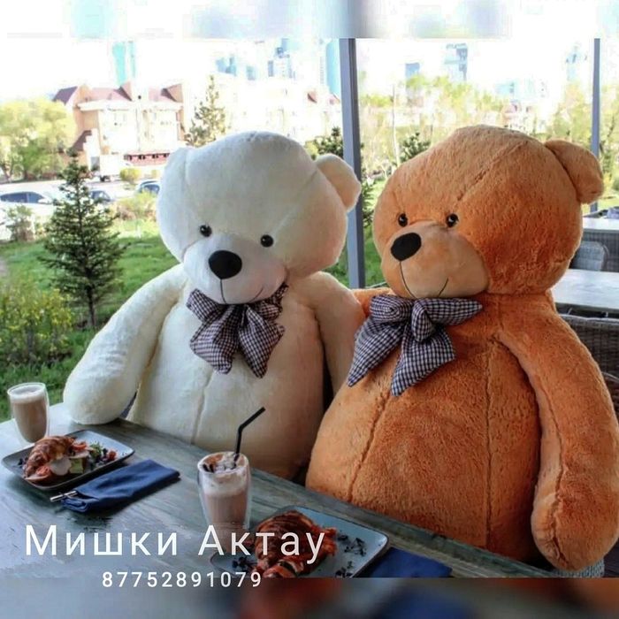 Мишки новые белые