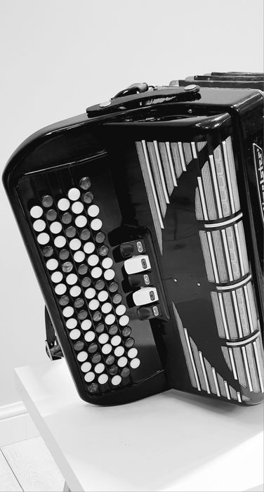 Баян Weltmeister