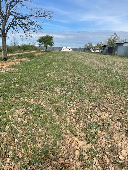 Vand teren teren intravilan 4000 mp in Alparea( padure