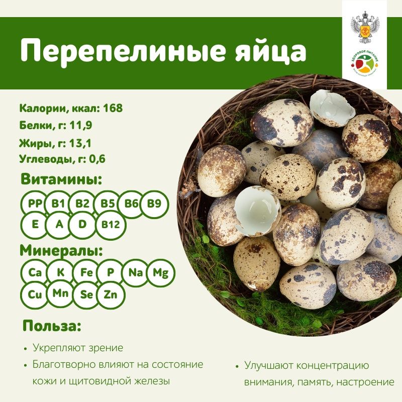 Перепелиное яйцо.     .