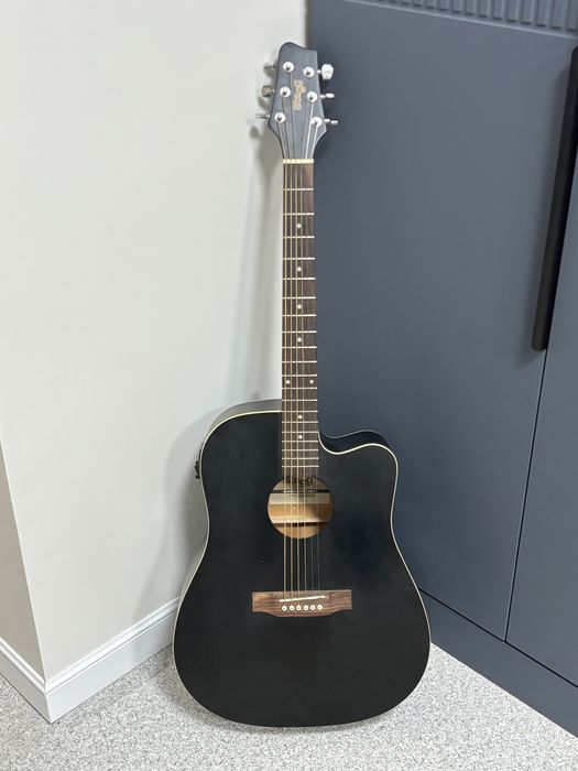 Пракат электроакустической гитары, гитара на аренду