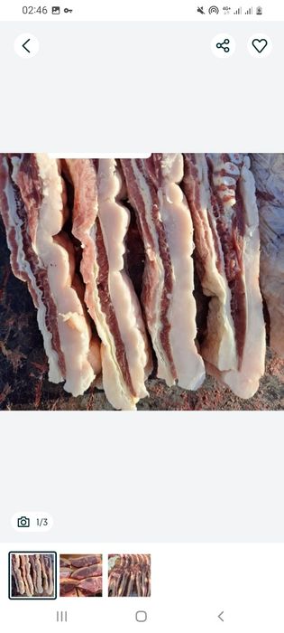 Мясо конины с Тургая