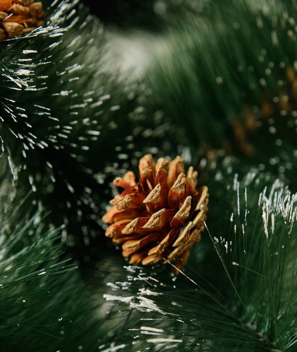 Коледна елха изкуствена – реалистична,с шишарки и заснежени връхчета