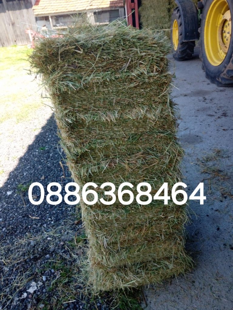 Продава бали сено и люцерна
Намират се в село Кабиле, обл.Ямбол