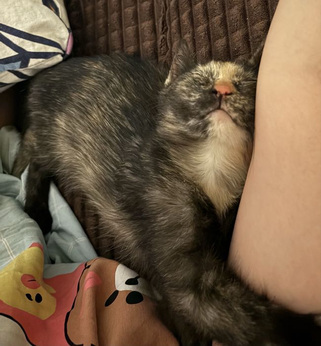 Только ответственным