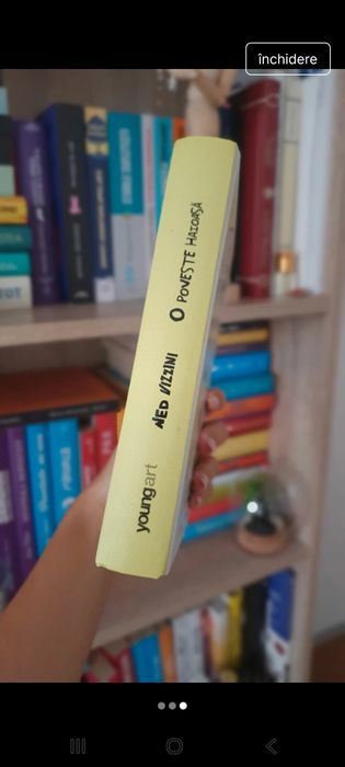 O poveste haioasă-Ned Vizzini