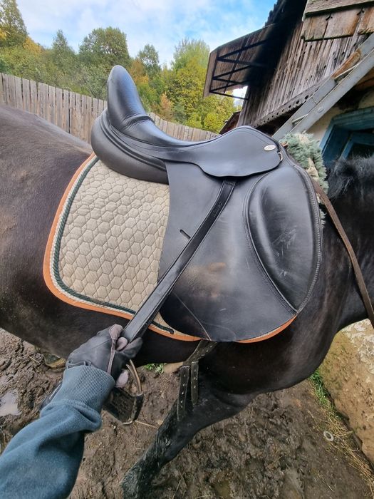 Șa pentru echitatie (dresaj )