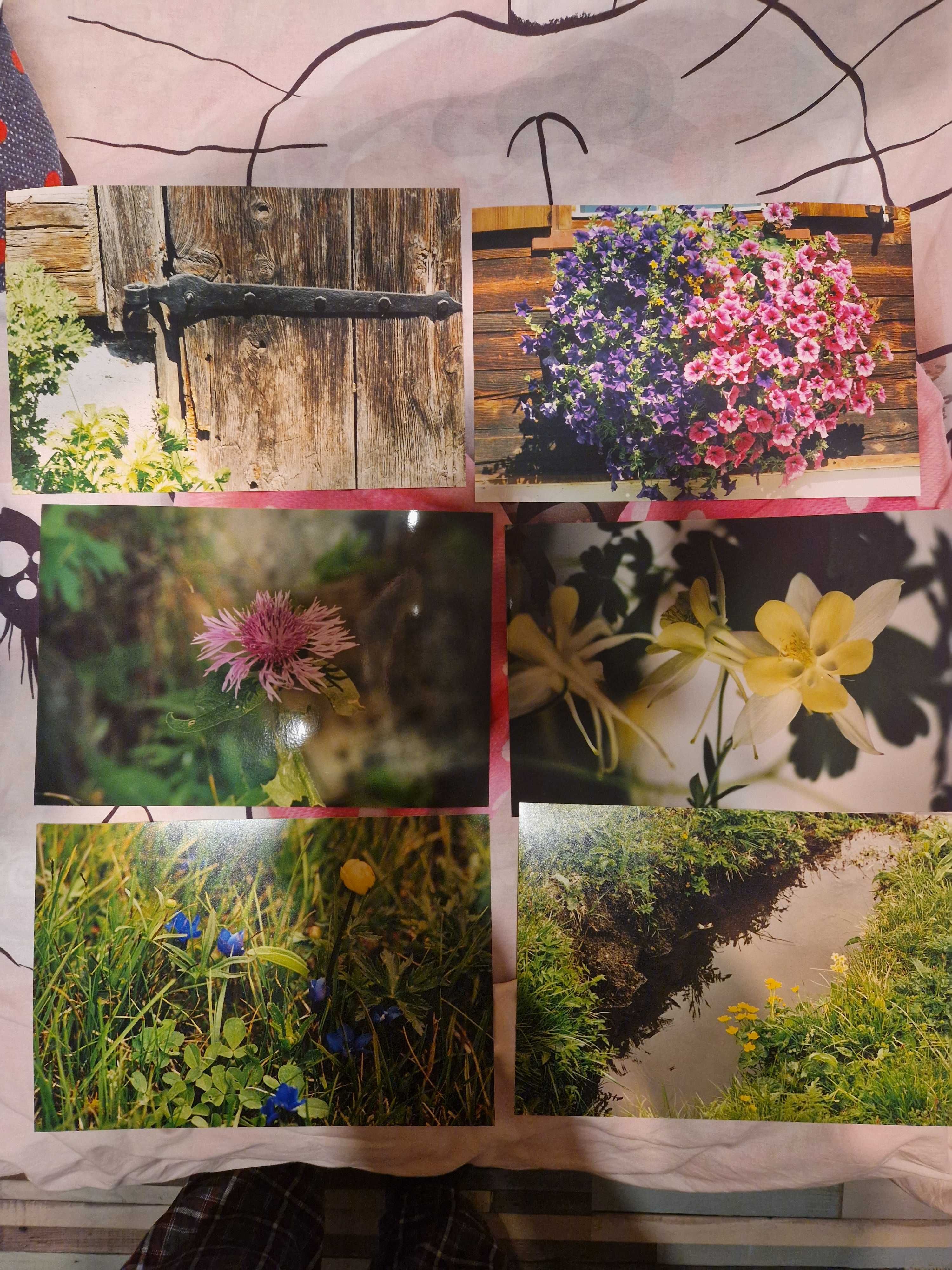 Vând 170 fotografii profesionale peisaje, flori, cladiri format A4